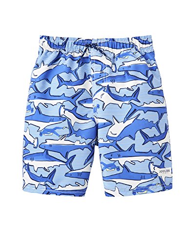 Joules Ocean Swim Shorts – Blue Shark Dive Stripe