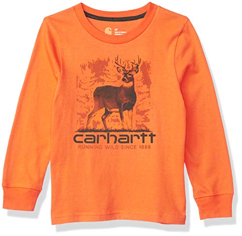 Carhartt Boys’ Lengthy Sleeve Graphic T-Shirt